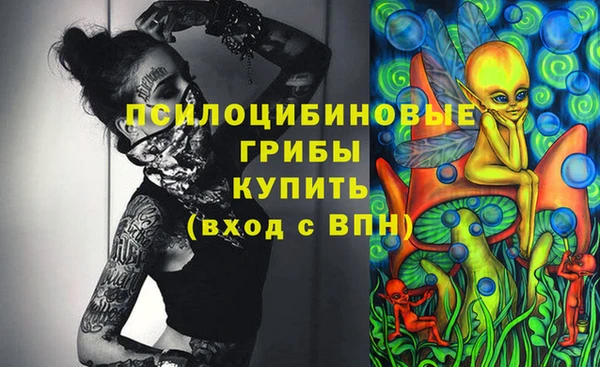 молекула духа Алзамай