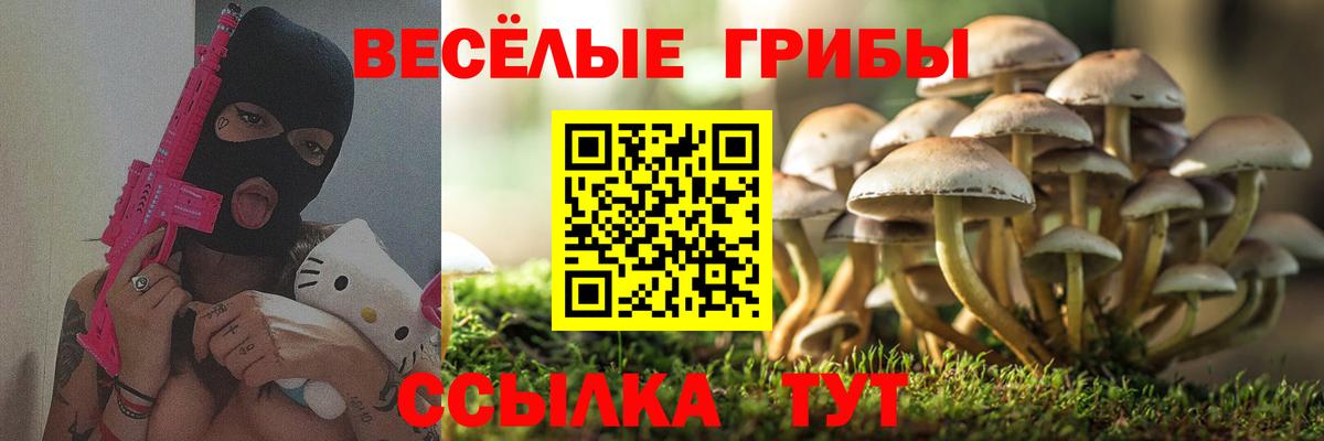Галлюциногенные грибы ЛСД  Вход с VPN  Клин 